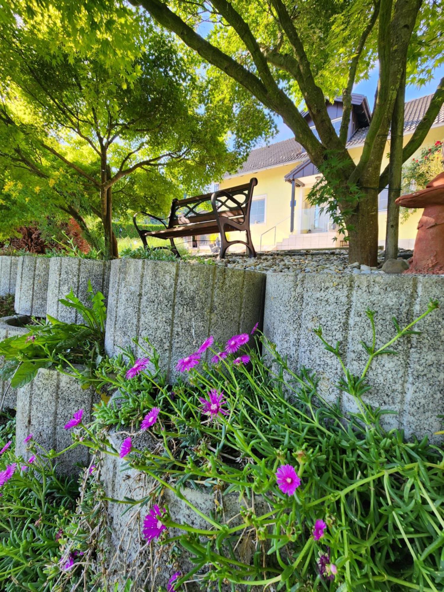 Villa Spa Magic Tuheljske Toplice Esterno foto